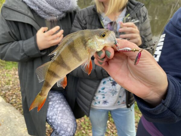 A redfin perch held by a woman off screen with two women in the background